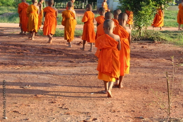 Fototapeta A novice is walking on a dirt road in the morning with warm sunshine