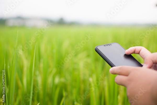 Fototapeta The hand of a man carrying a business phone