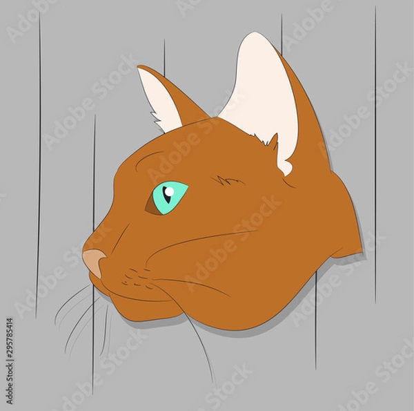Fototapeta vector illustration of a portrait of a cat on a colored background