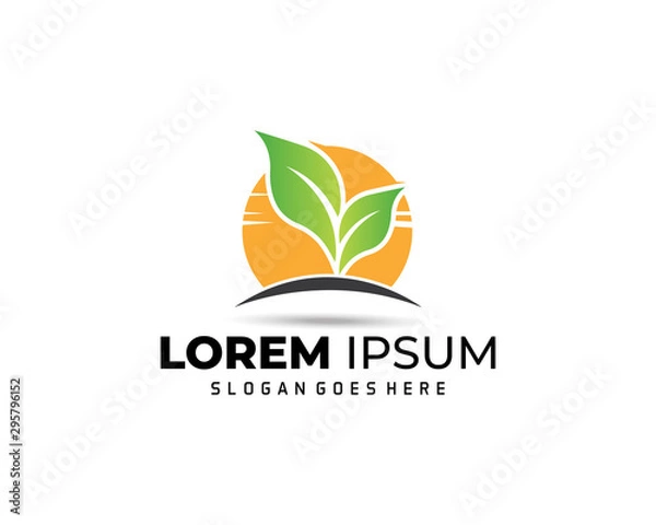 Fototapeta Green leaf logo Vector illustration