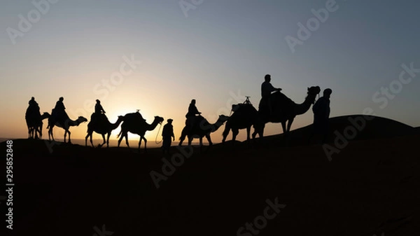 Obraz Silhouetted camel caravan at sunrise with sun shining behind a camel