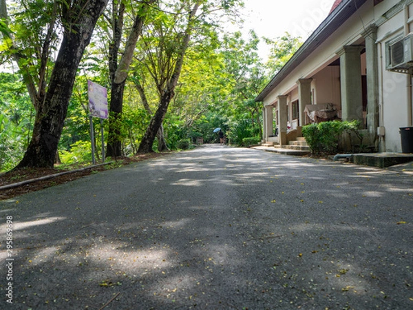 Fototapeta Colorful bicycle are park under the tree,At Sri Nakhon Khuean Khan Park and Botanical Garden in Bangkok Thailand