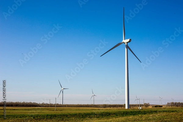 Obraz wind turbines in the field