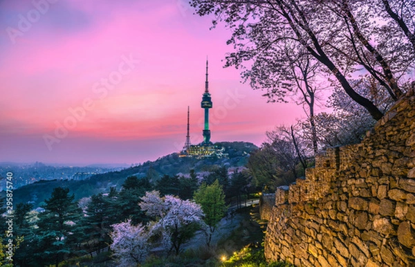 Obraz Twilight Seoul Tower in Spring at south korea