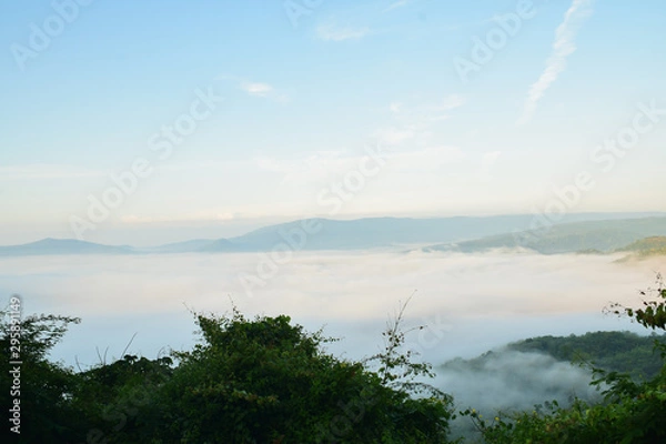 Fototapeta Fog in morning time with mountain view.