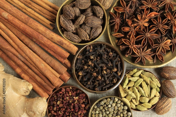 Obraz Spices