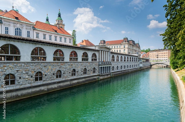 Obraz ljubljana