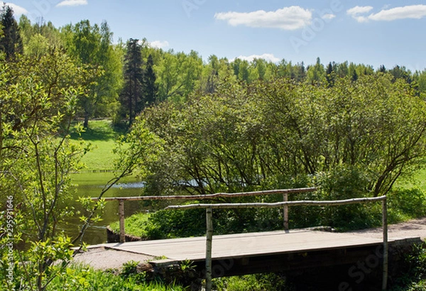 Obraz Small wooden bridge in the park