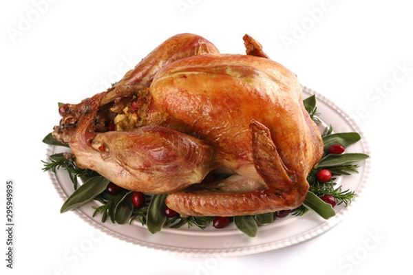 Obraz Roast turkey isolated on white background, shallow focus