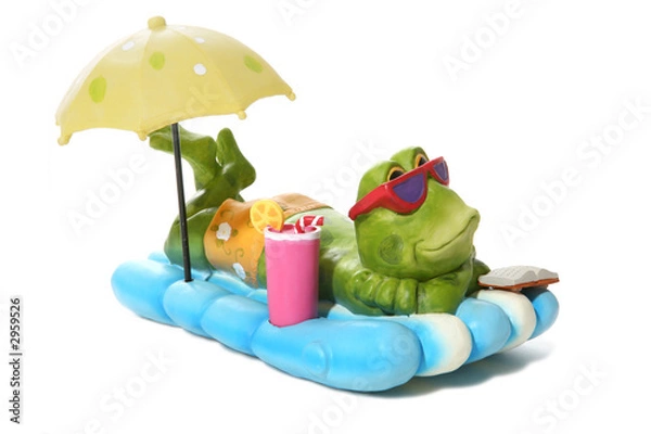 Fototapeta frog on vacation