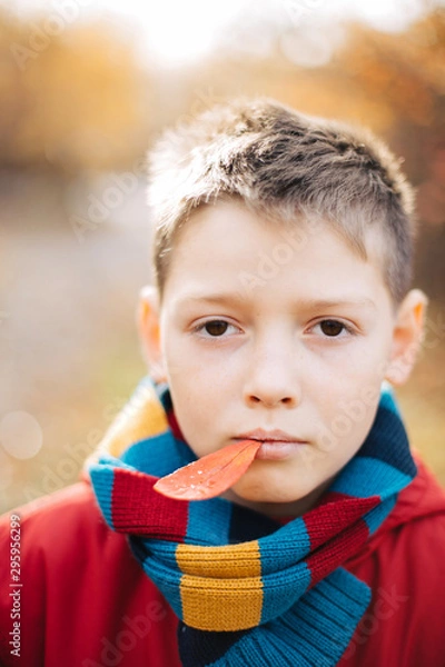 Obraz Portrait of cute laughing boy looking at camera, wearing colorful scarf, isolated on autumn background