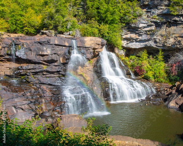 Obraz Blackwater falls