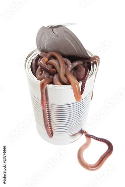 Fototapeta Can of worms