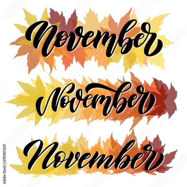 Fototapeta November, set of three script hand written compositions with decorative maple leaves elements. Hand drawn brush lettering for autumn events, posters, and banners. Vector.