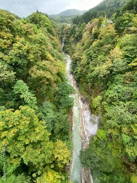 Obraz waterfall in forest