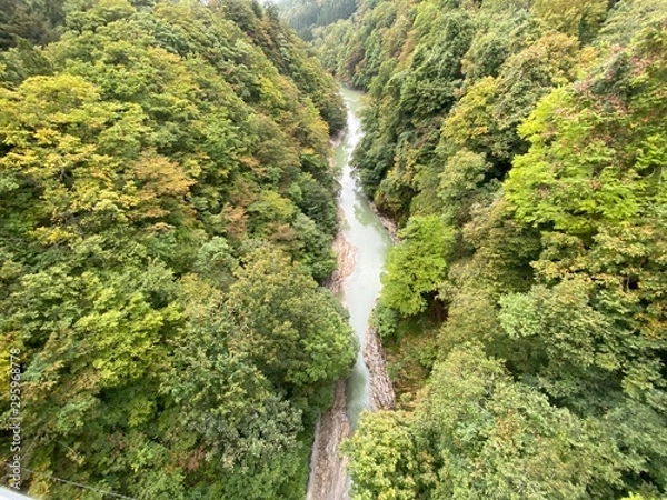 Obraz waterfall in forest
