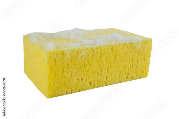 Obraz Bath Sponge concept.