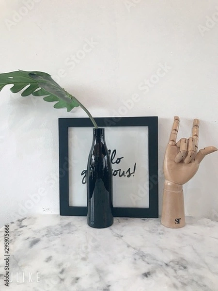 Obraz Plant for decoration