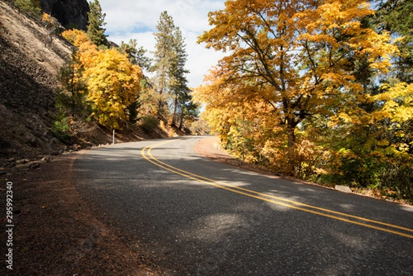 Fototapeta The Historic Columbia River Highway near Rowena Crest in Oregon During Autumn