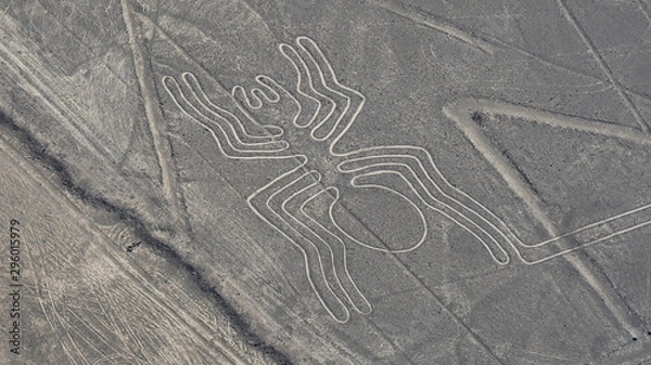 Obraz Aerial view of Spider geoglyph, UNESCO World Heritage Site, Nazca Lines, Peru