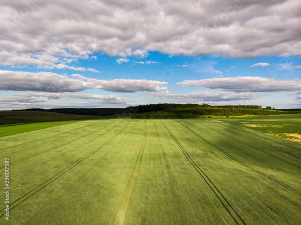Fototapeta Vue aérienne d'un champ. Vue aérienne d'un paysage agricole. L'agriculture dans la campagne. Un champ de céréales en été.
