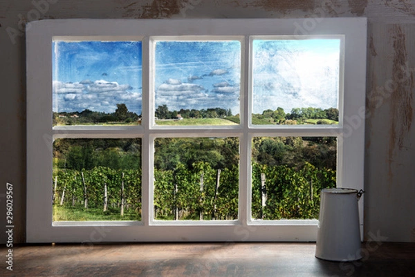 Fototapeta Vineyard of the Jurancon wine in the French Pyrenees