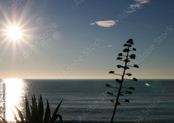Fototapeta Rayos de sol