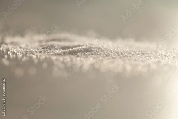 Obraz salt on white background