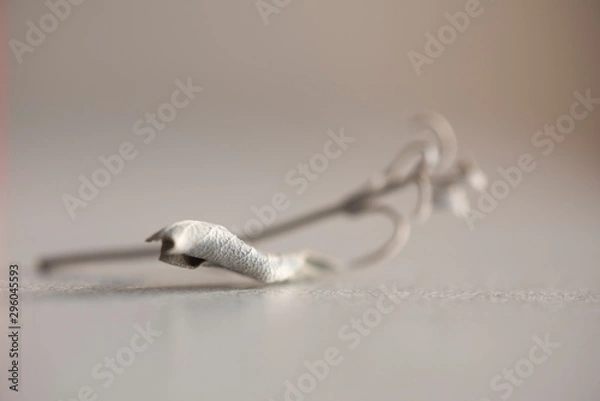 Fototapeta green tea leafs