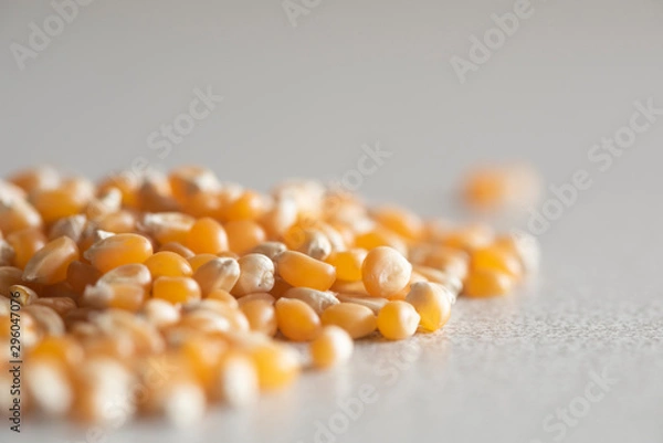Fototapeta yellow corn on white background