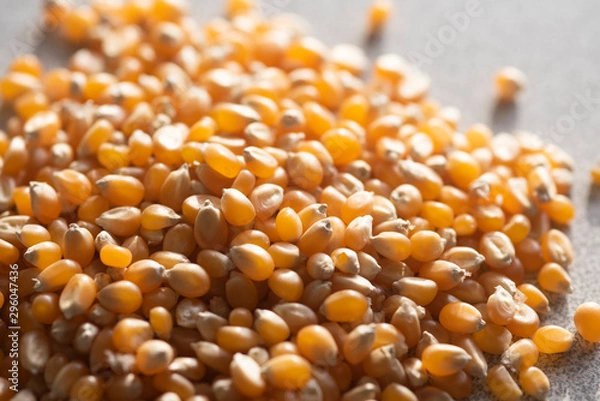 Obraz grains of corn