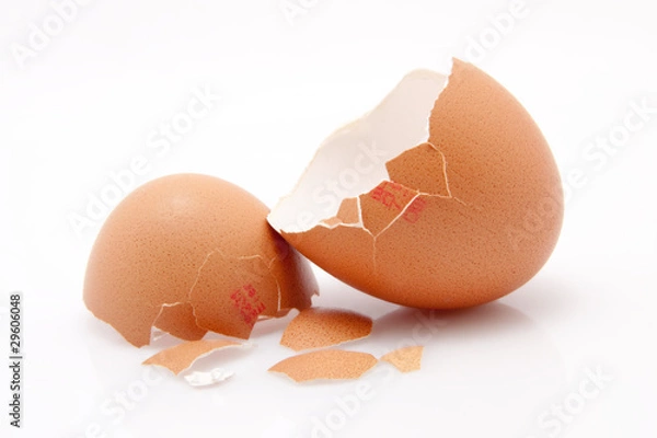 Obraz Eierschale vor weissem Hintergrund