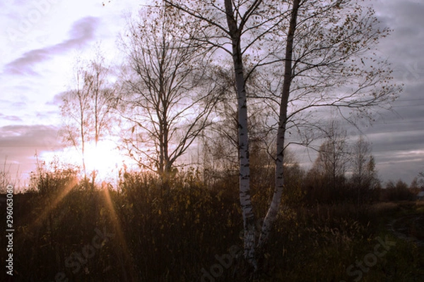 Fototapeta Sunset rays 