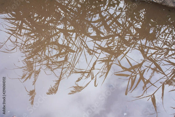 Fototapeta Reflection