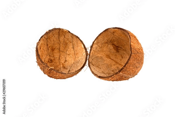 Obraz Two halves of coconut