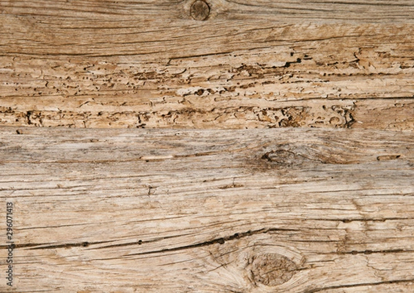 Fototapeta Tablón Madera