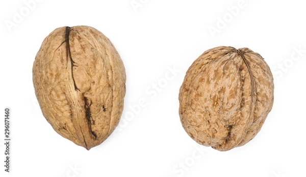 Fototapeta Walnuts set and collection isolated on white background, top view