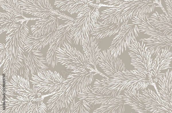 Fototapeta Zimowe tło z sosnowych gałęzi. Projekt karty zimowej.