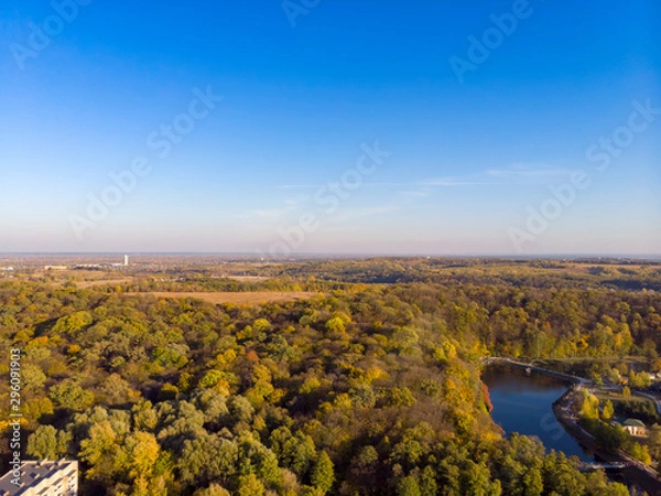 Obraz Autumn forest aerial drone view