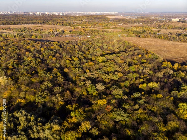 Obraz Autumn forest aerial drone view
