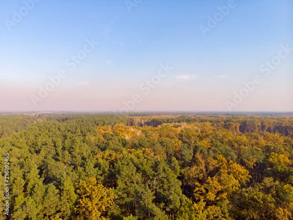 Fototapeta Autumn forest aerial drone view