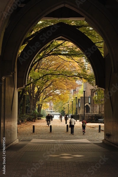 Obraz 日本の洋館と銀杏の紅葉風景