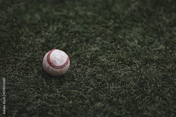 Obraz golf ball on grass