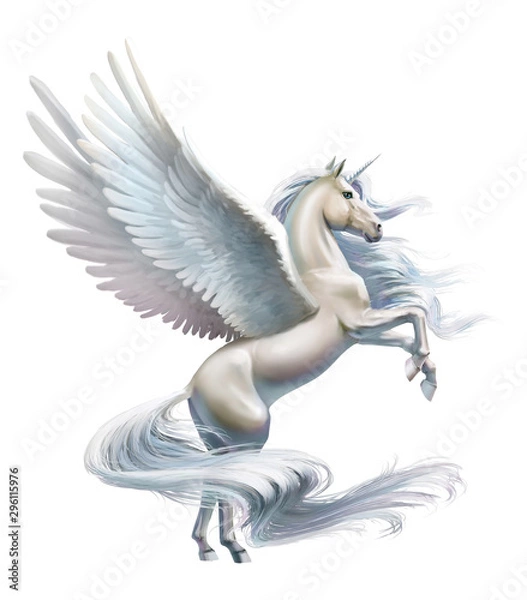 Obraz pegaz, zbliżenie, na białym tle