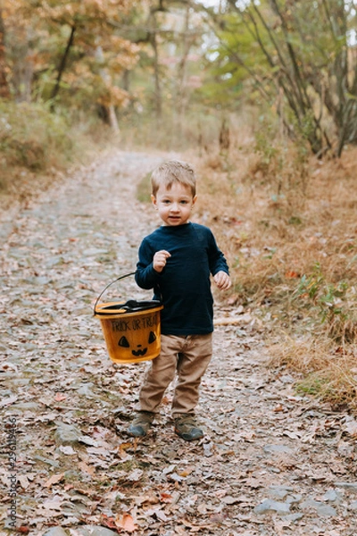 Fototapeta Happy Toddler With a Trick or Treat Bucket, Toddler Walking in the Woods, Holding a Halloween Bucket