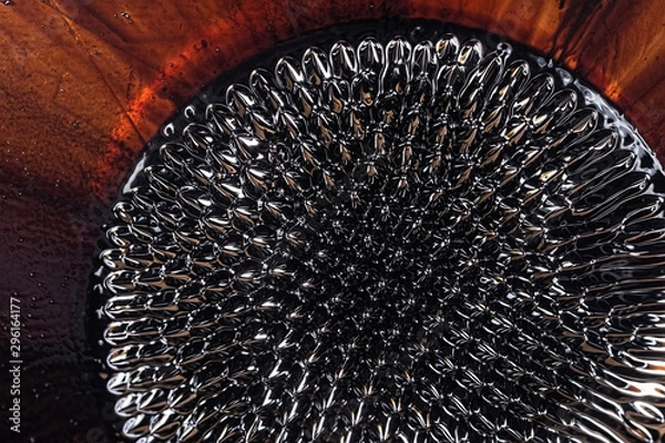 Obraz FerroFluid Flower