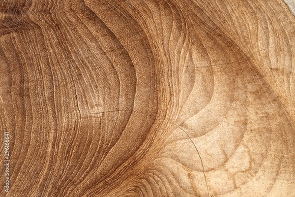 Obraz Wood texture