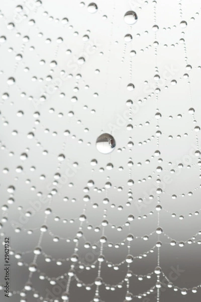 Fototapeta gocce sospese