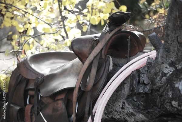 Obraz ranch saddle