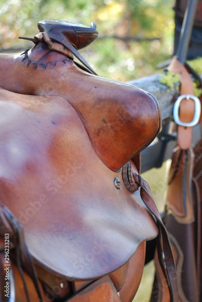 Obraz saddle
